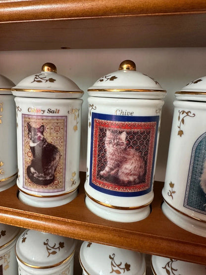 Complete Authentic 1995 Lenox Cats of Distinction Spice Jar Set with Rack